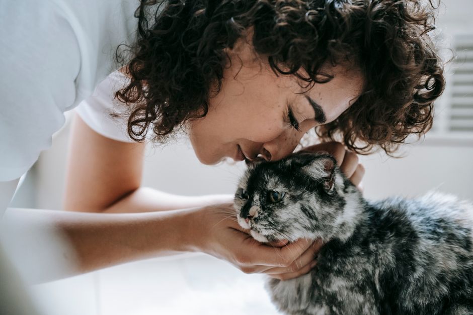 Woman with curly dark hair and closed eyes pressing her nose to the head of a gray long-haired cat, cupping its chin in her hand