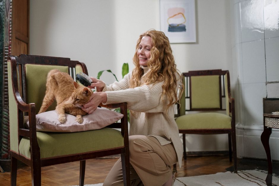 A woman brushing a ginger cat sitting on an armchair indoors