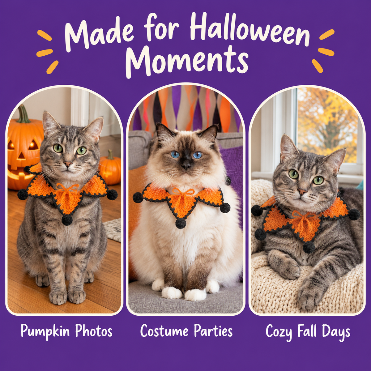LitterBond Crochet Star Halloween Collar - Halloween moments