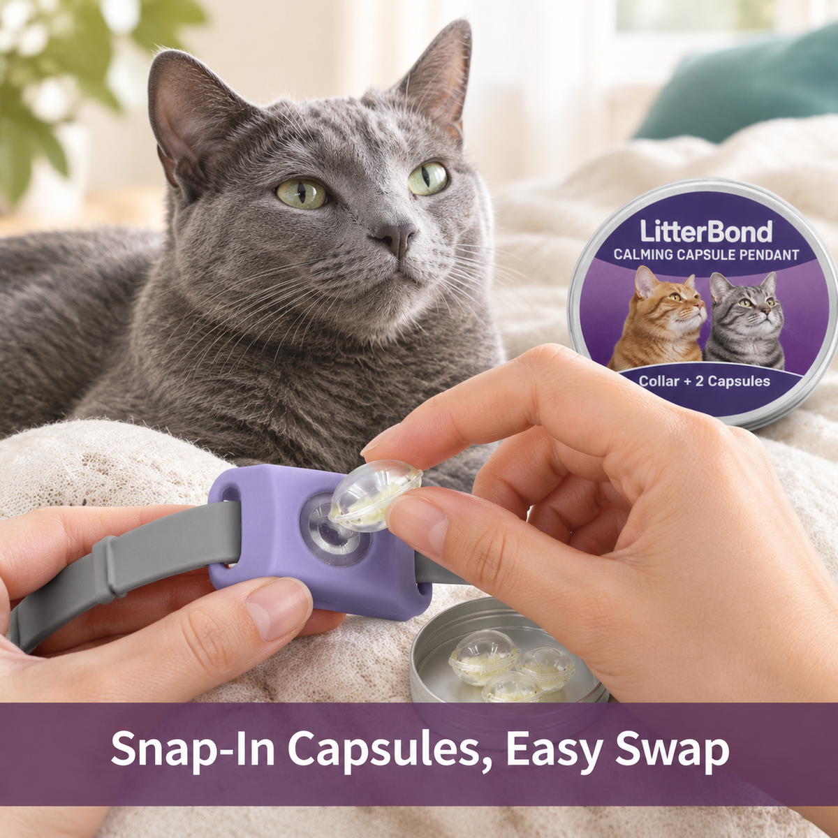 LitterBond Calming Collar Set collar + 2 capsules - easy to use