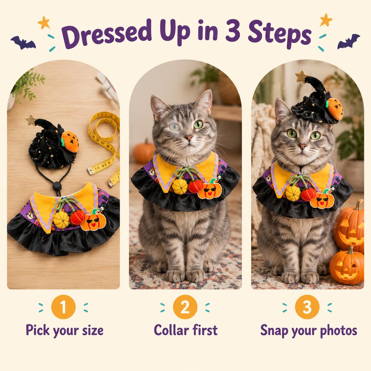 LitterBond Little Witch Collar & Hat Set - how to put it on