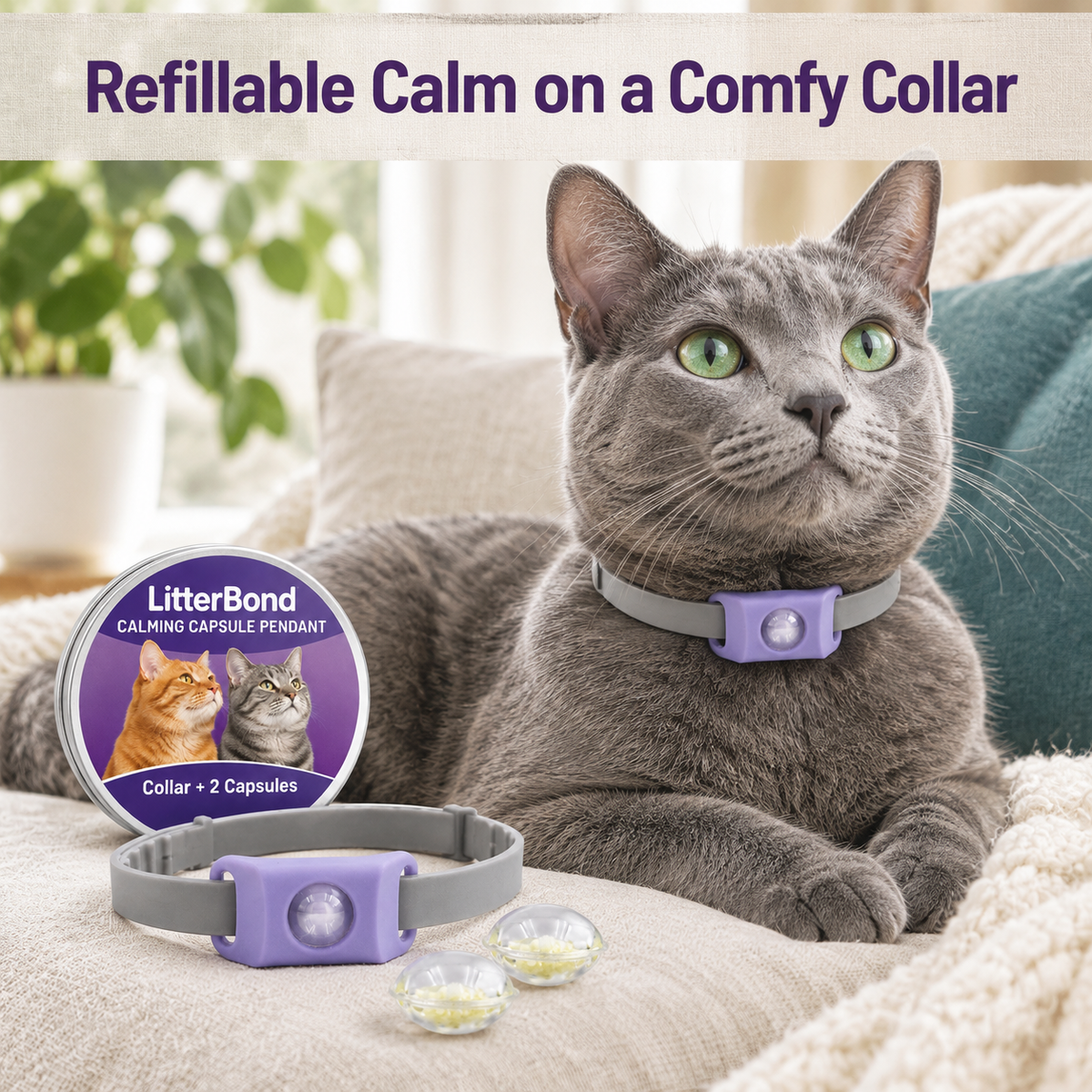 LitterBond Calming Collar Set collar + 2 capsules - how it helps