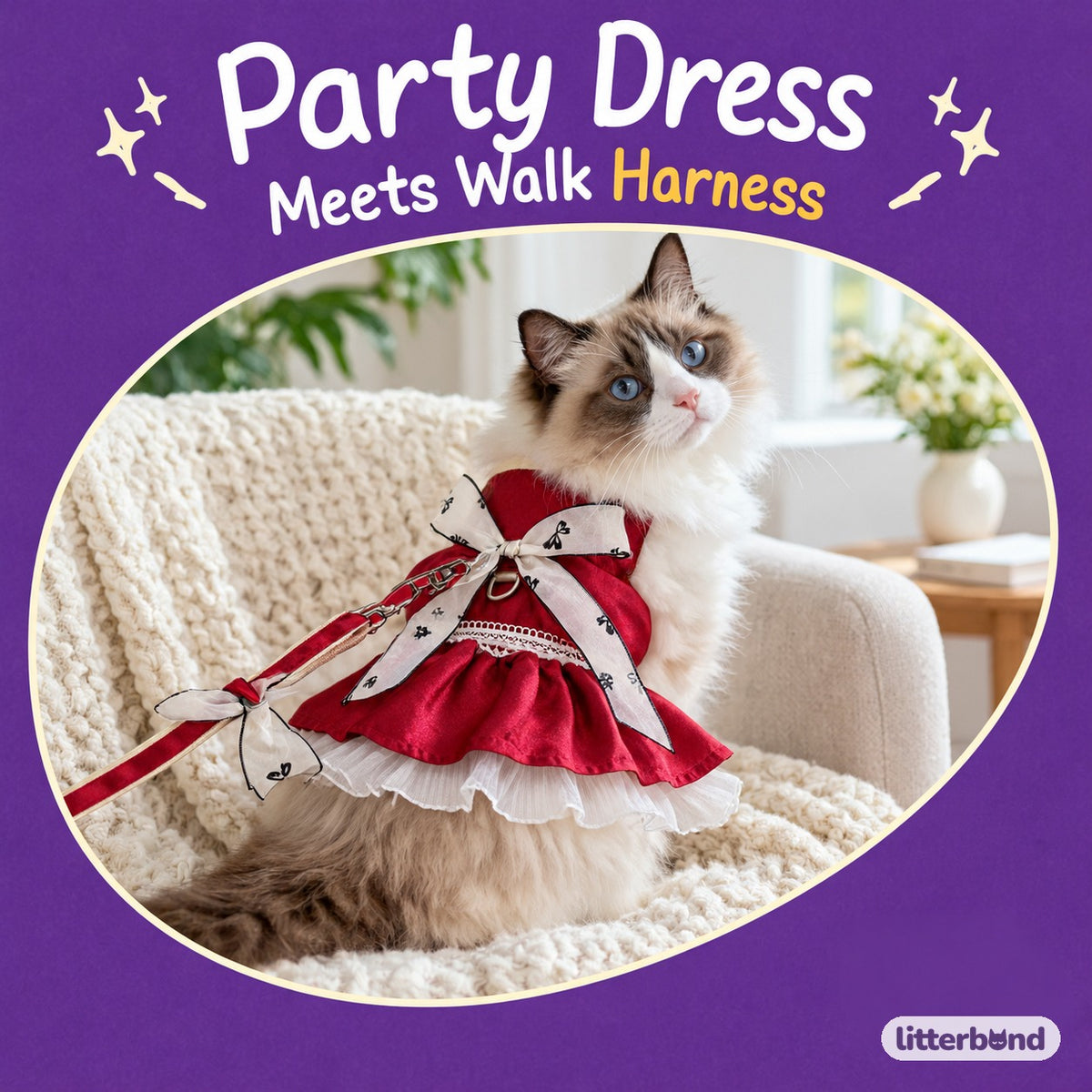 Satin Bow Dress Harness & Leash on a cat