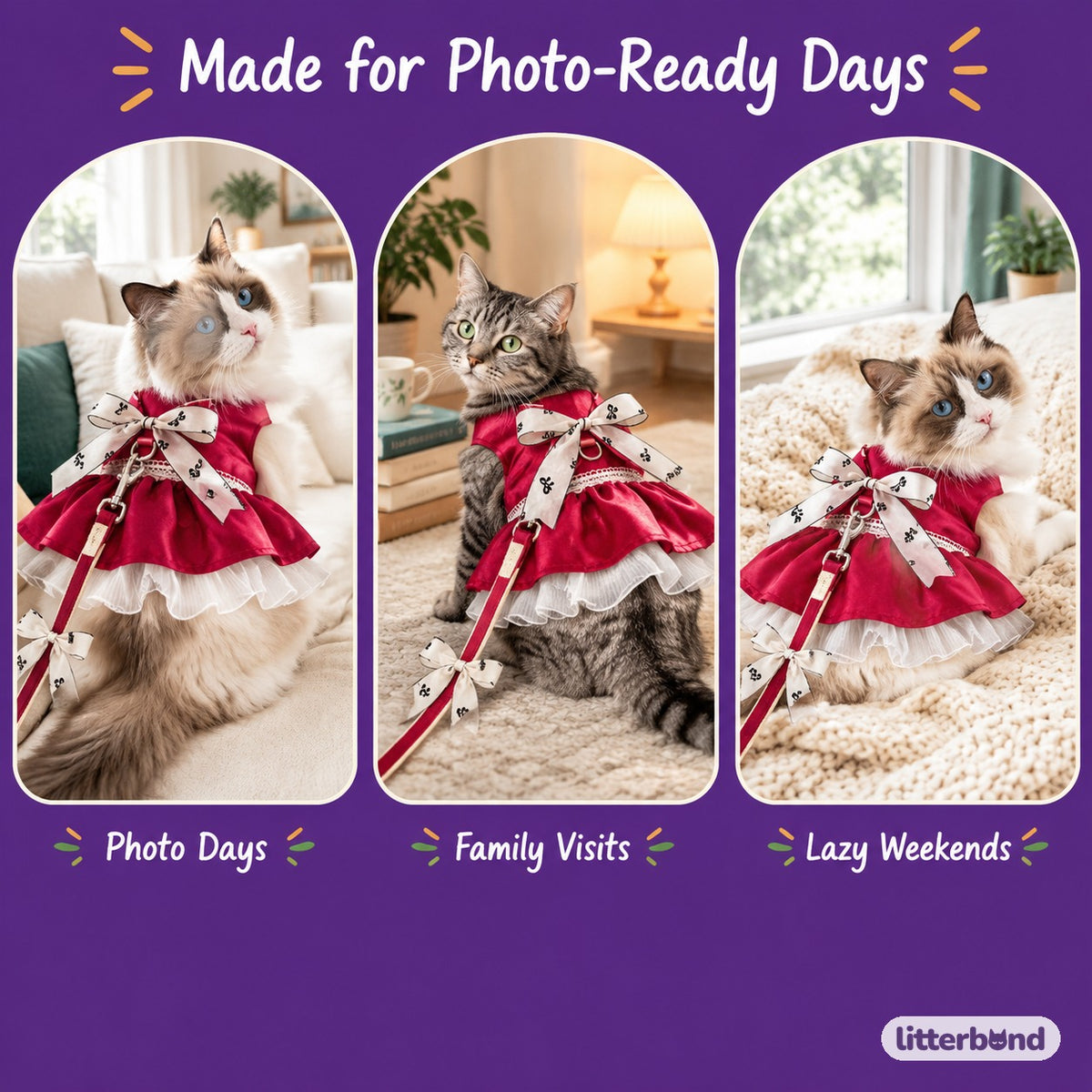 Satin Bow Dress Harness & Leash on a cat at home