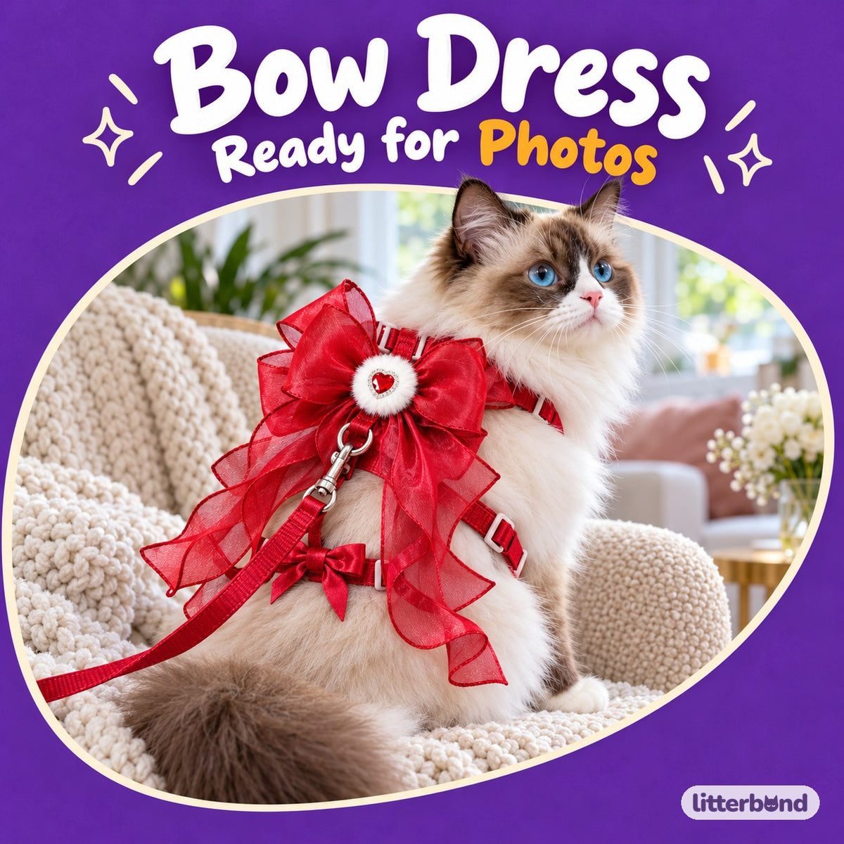 Sheer Ribbon Bow Harness Set on a cat