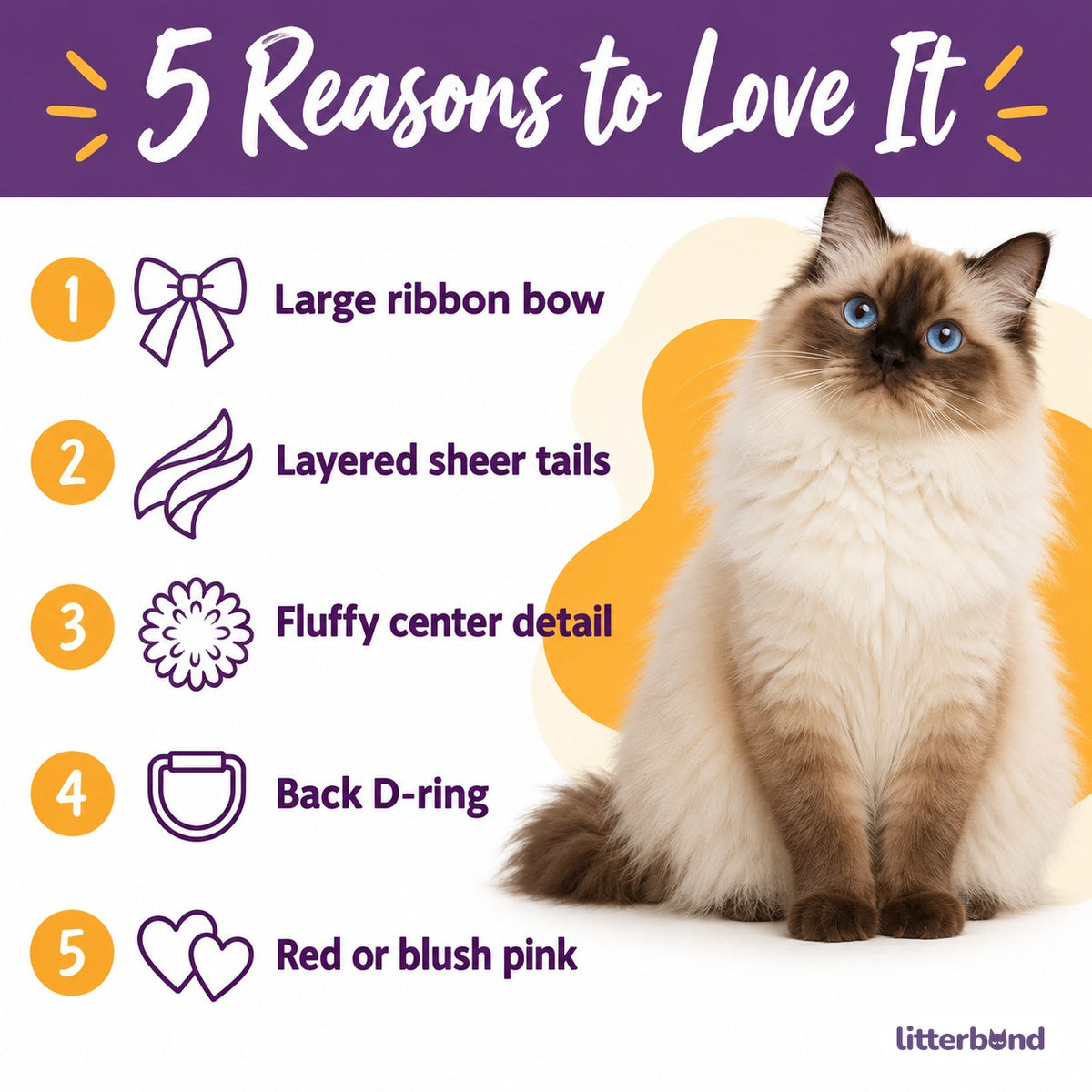 Sheer Ribbon Bow Harness Set - 5 reasons to love it