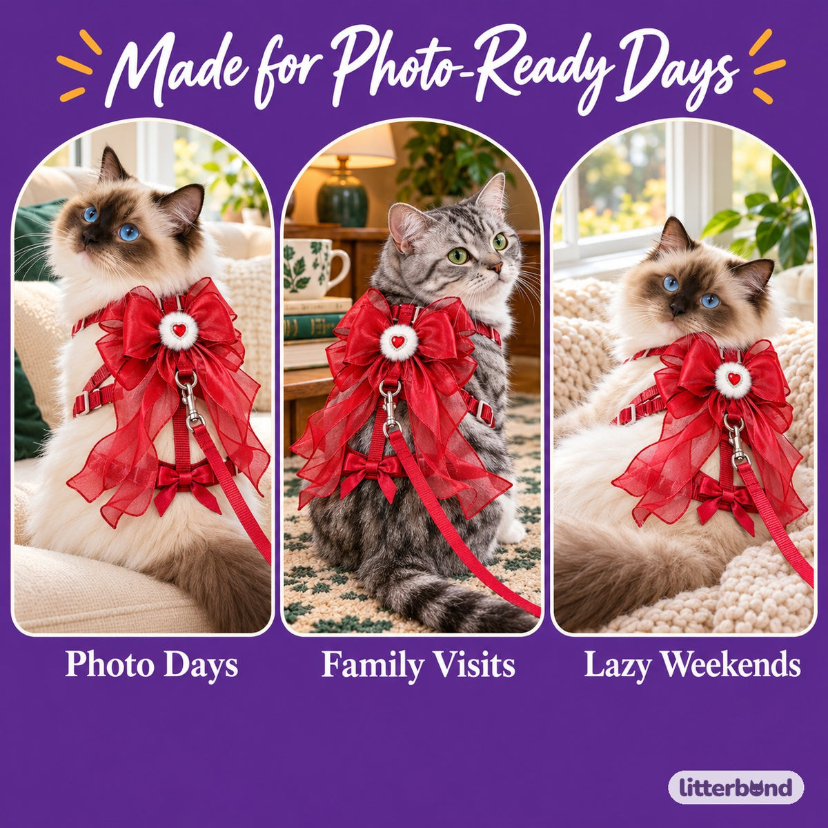 Sheer Ribbon Bow Harness Set on a cat at home