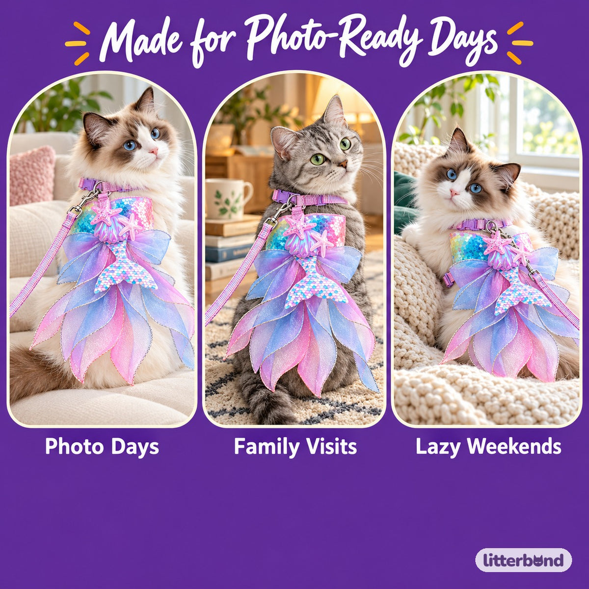 Pastel Mermaid Harness for Walks on a cat at home