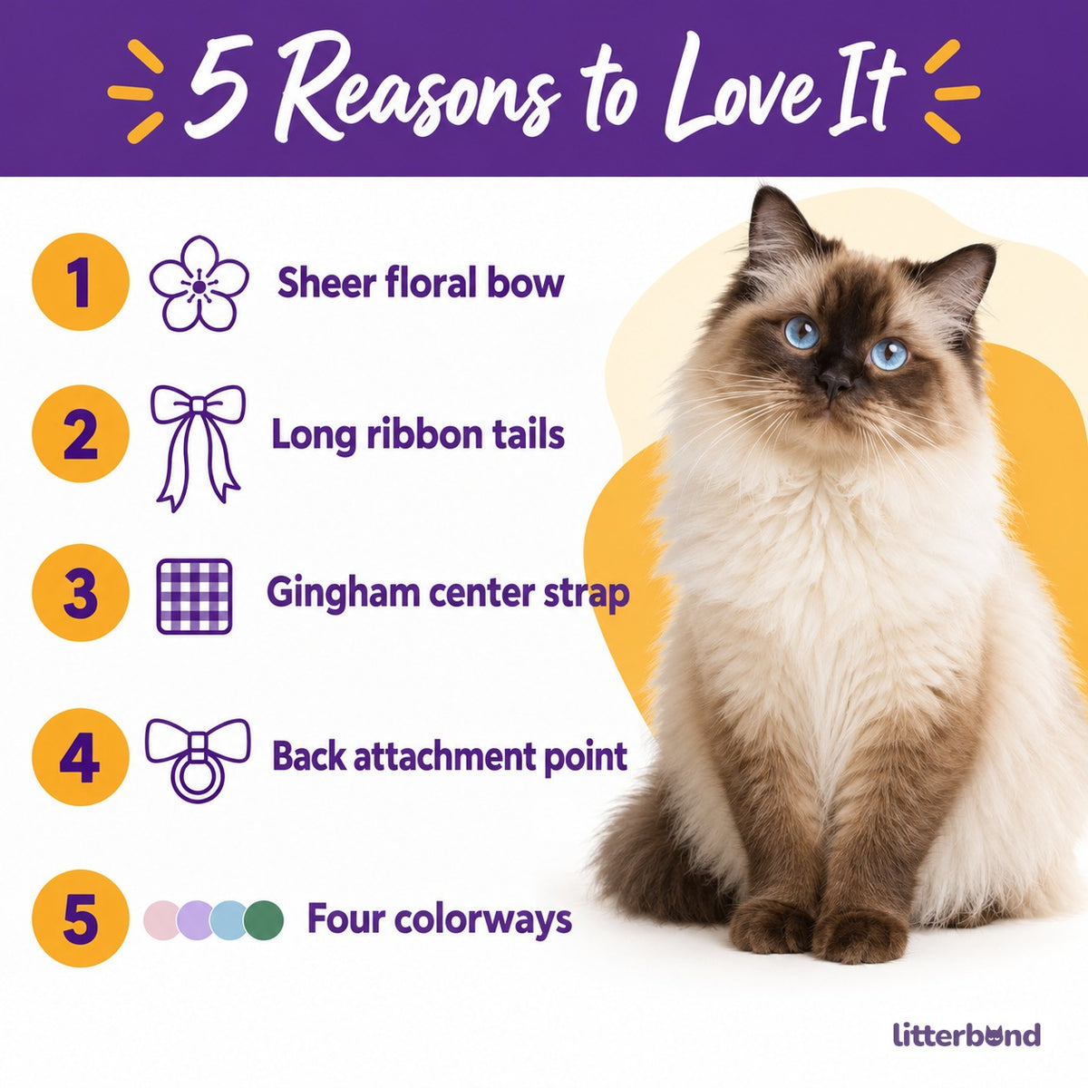 Floral Bow Harness for Walks - 5 reasons to love it