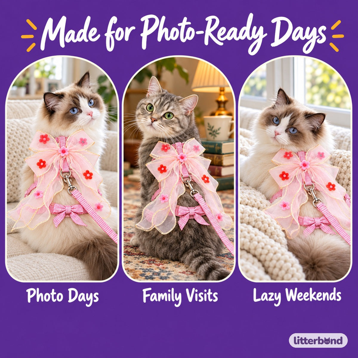 Floral Bow Harness for Walks on a cat at home