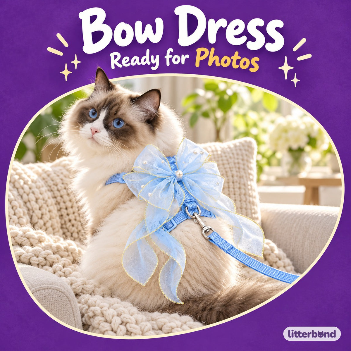 Sheer Bow Ribbon Walking Harness on a cat
