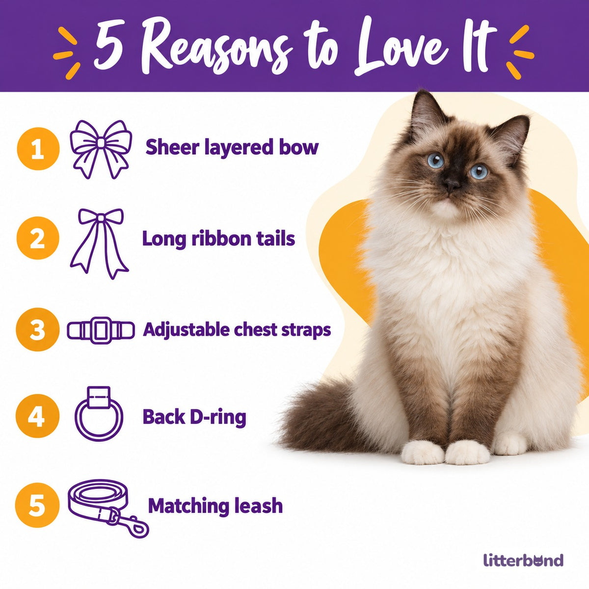 Sheer Bow Ribbon Walking Harness - 5 reasons to love it