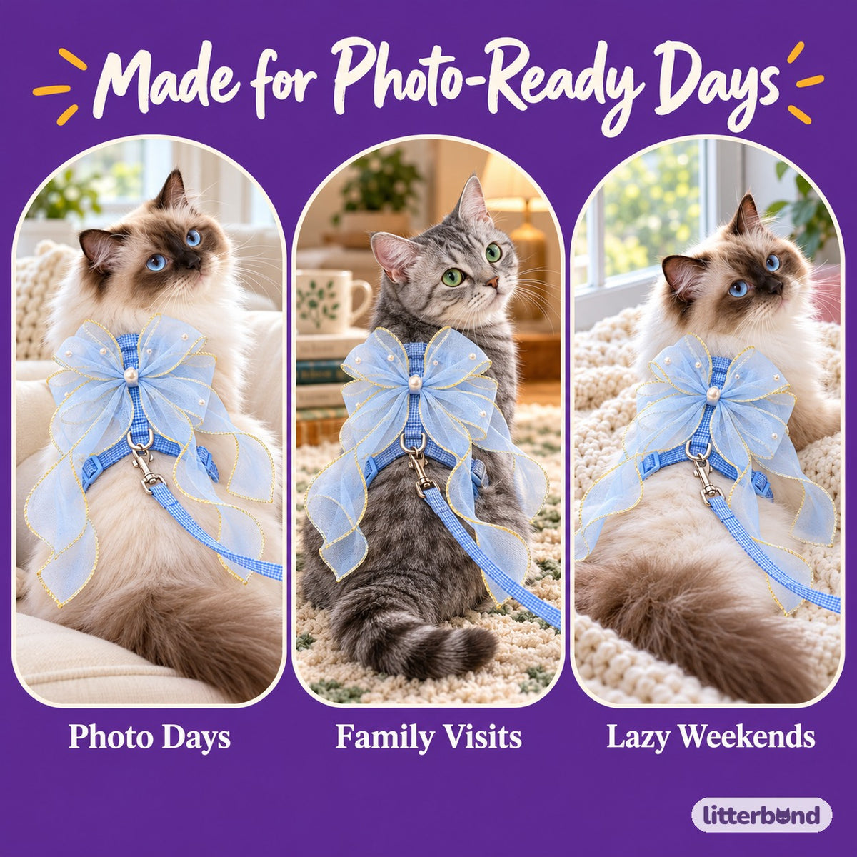 Sheer Bow Ribbon Walking Harness on a cat at home