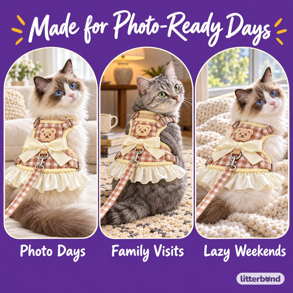 Gingham Bow Dress Harness Set on a cat at home