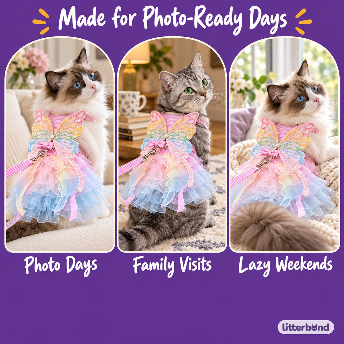 Pastel Butterfly Dress Harness Set on a cat at home