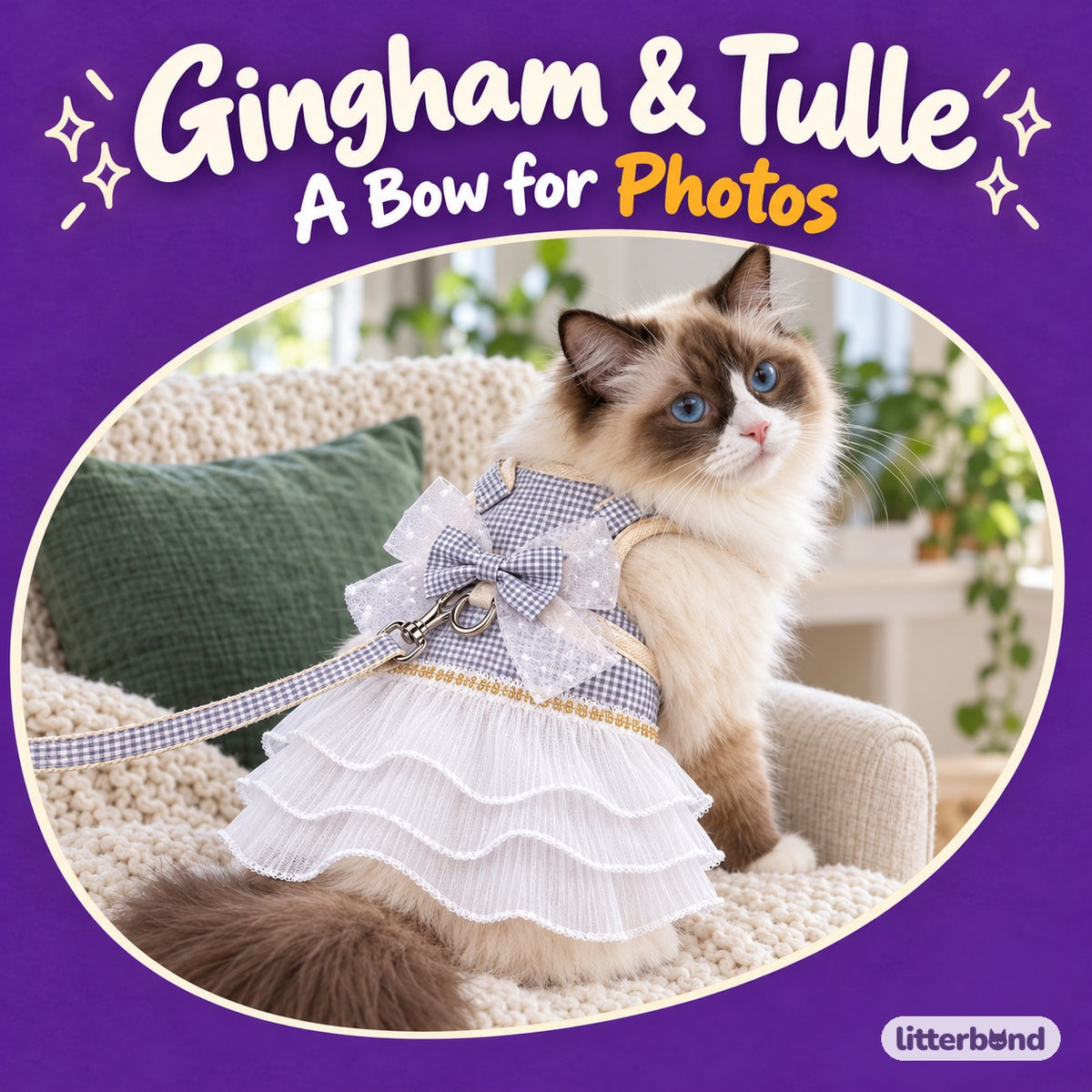 Gingham Tulle Dress Harness for Walks on a cat
