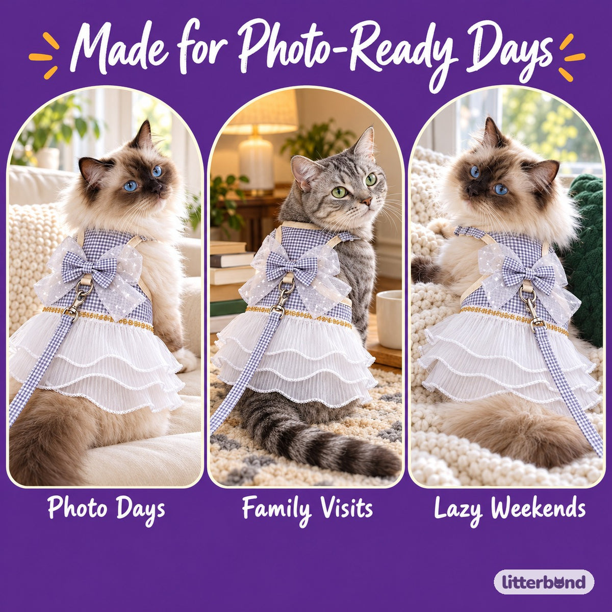 Gingham Tulle Dress Harness for Walks on a cat at home