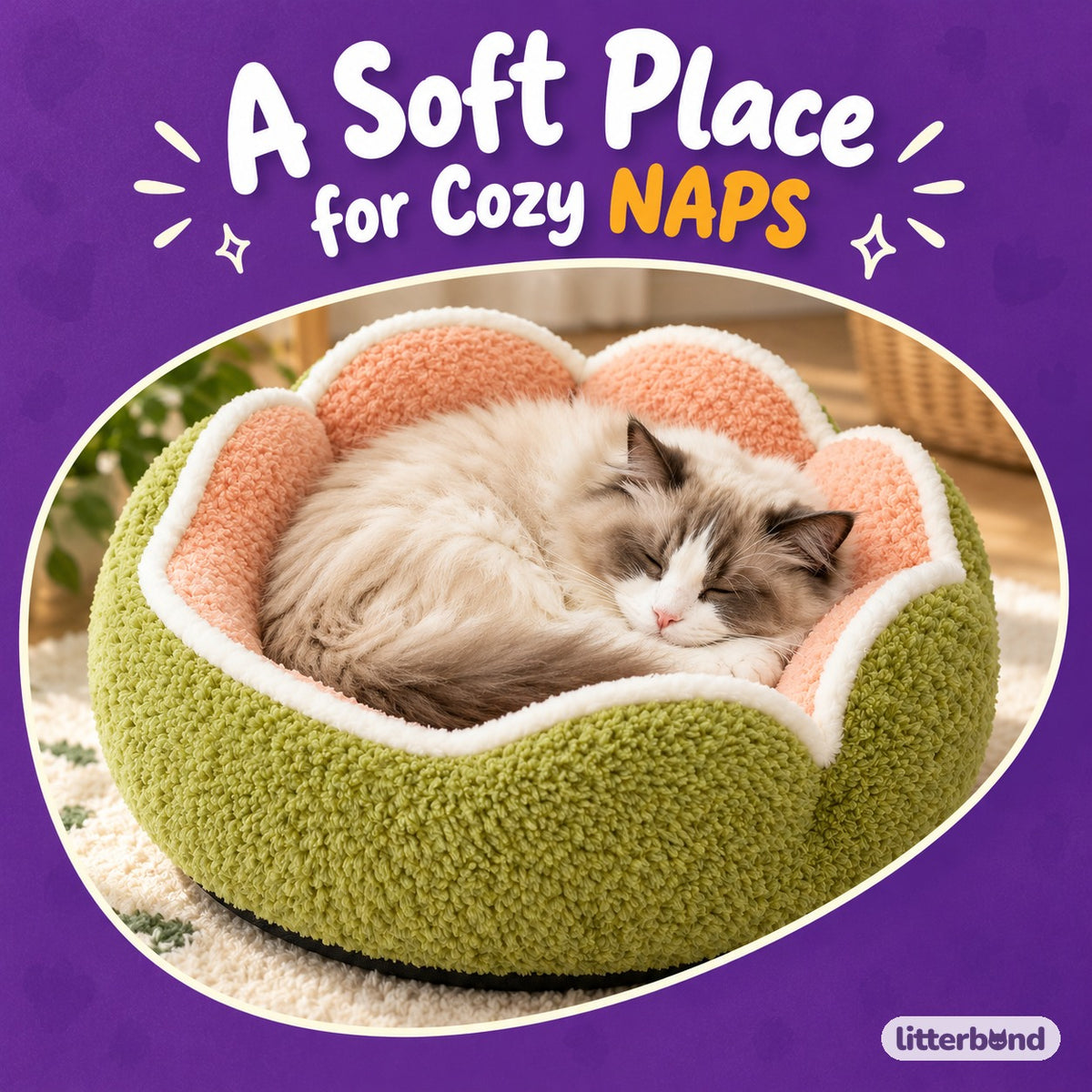 Raised Scallop Donut Bed with a cat