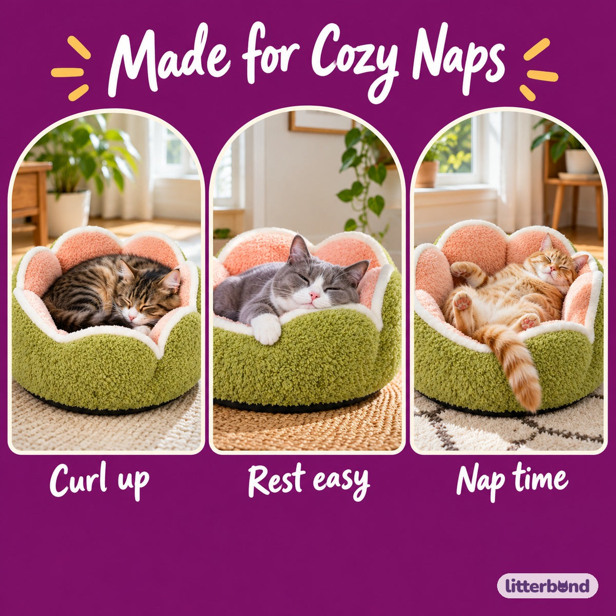 Raised Scallop Donut Bed - cozy at home