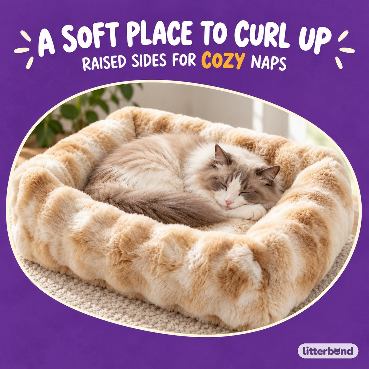 Plush Raised Sofa Bed for Cat Naps with a cat