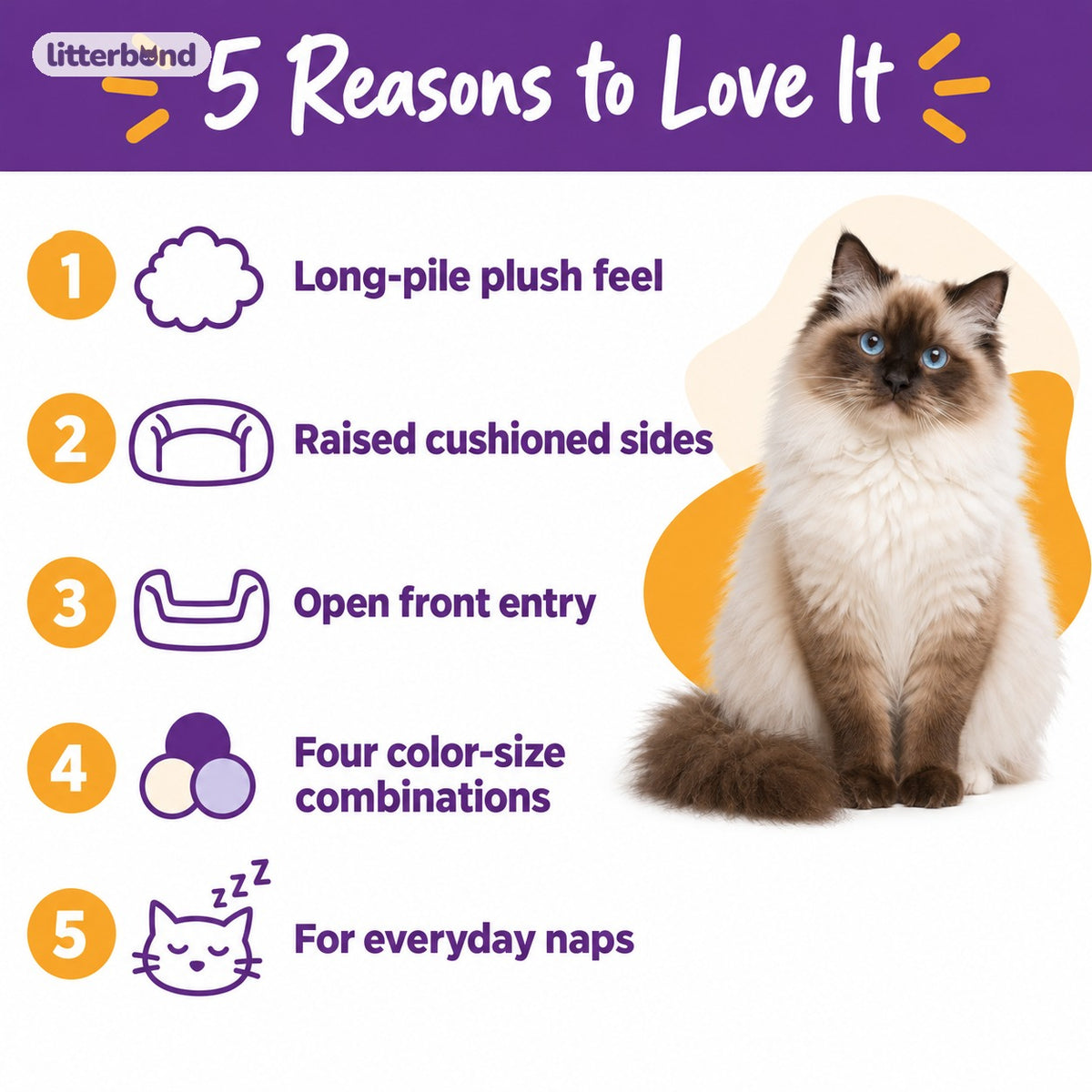 Plush Raised Sofa Bed for Cat Naps - 5 reasons to love it