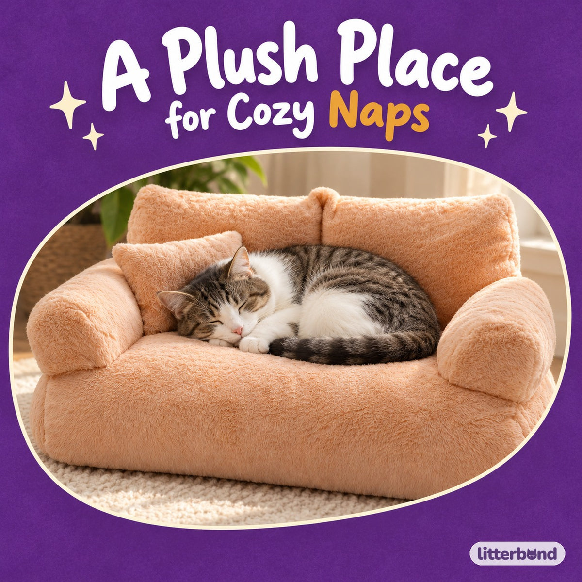 Plush Sofa Bed for Cat Napping with a cat