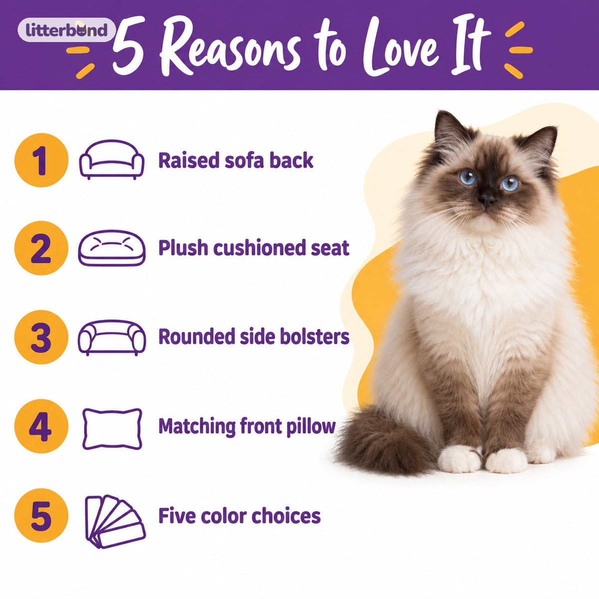 Plush Sofa Bed for Cat Napping - 5 reasons to love it
