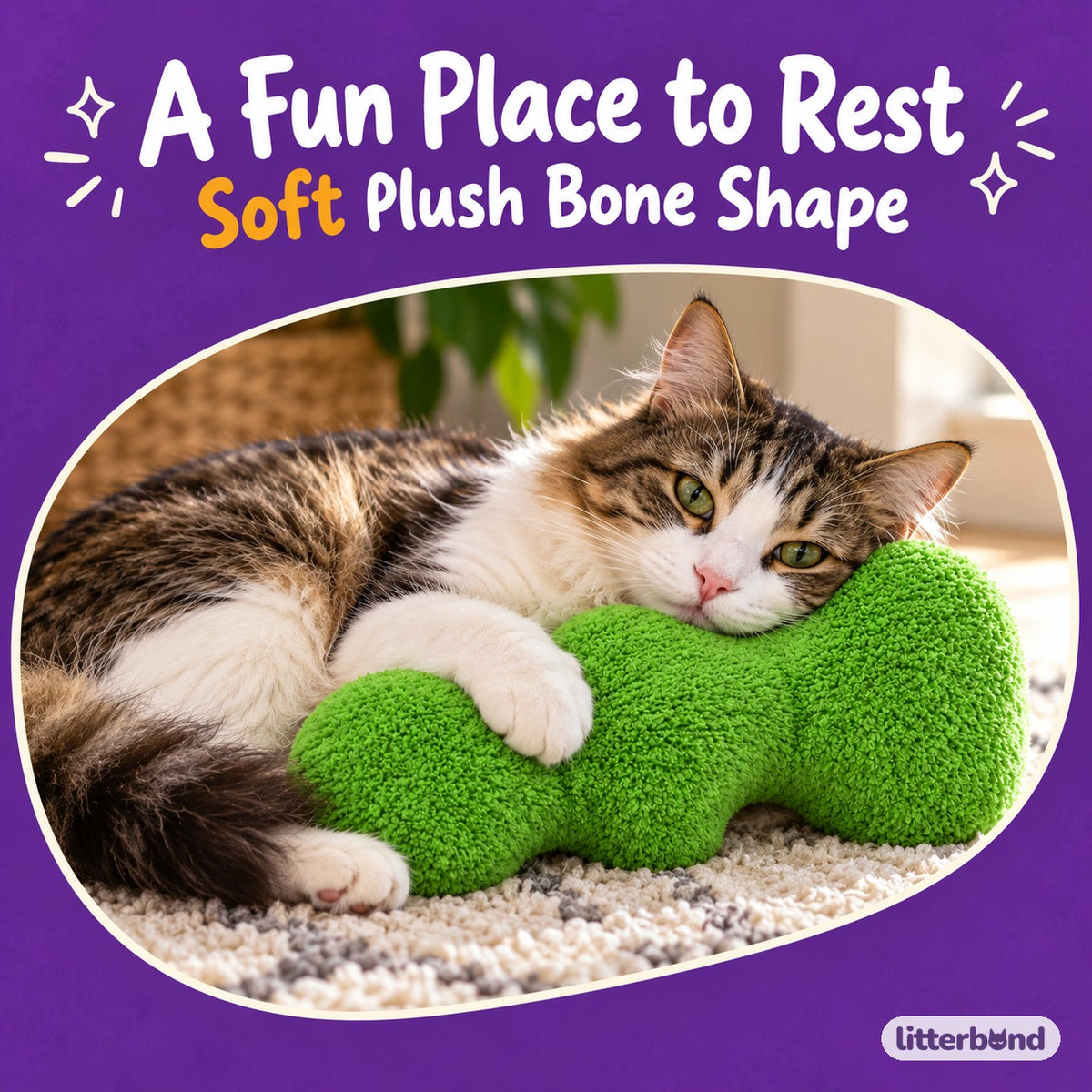 Bone Plush Pillow for Naps with a cat