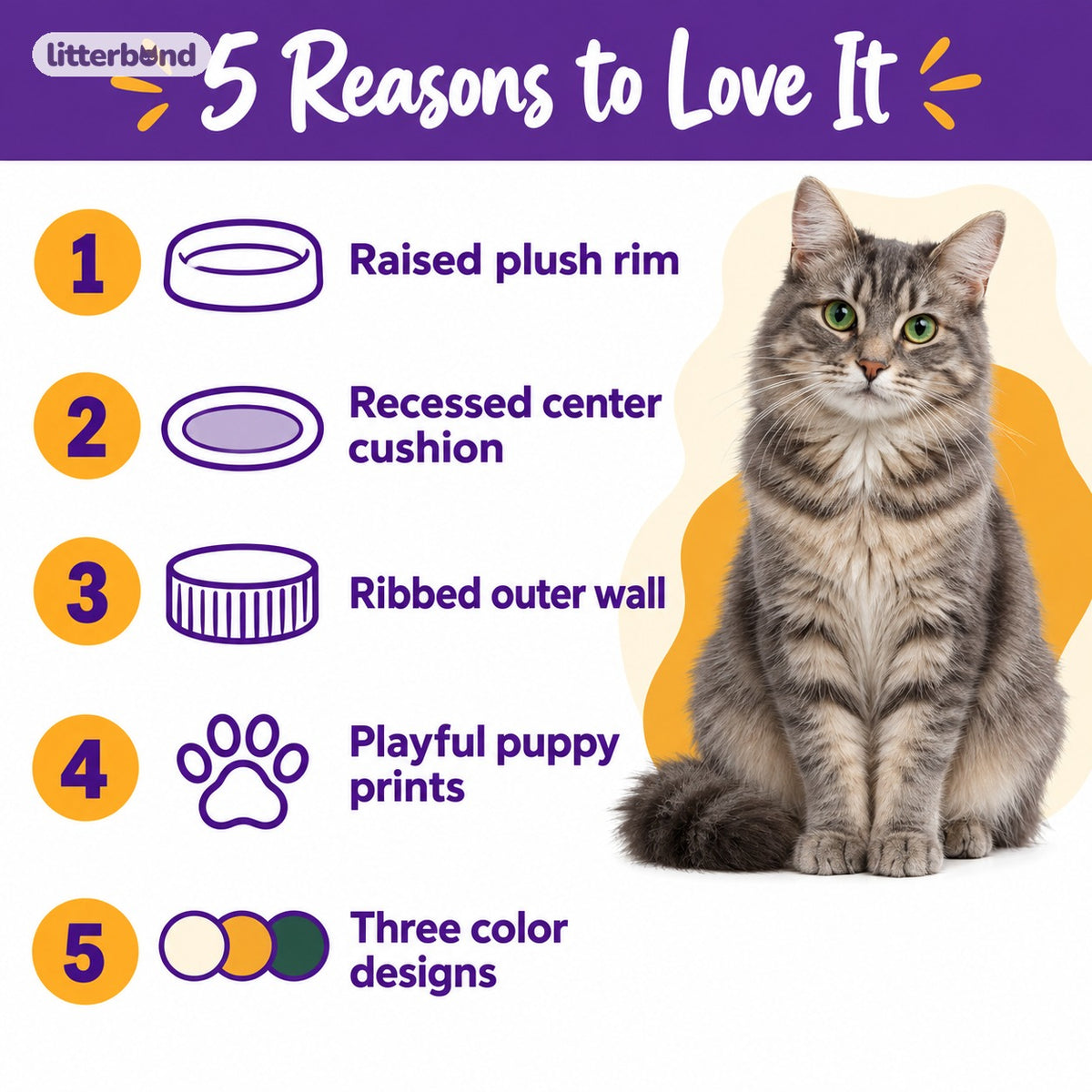 Puppy Print Bed for Naps - 5 reasons to love it