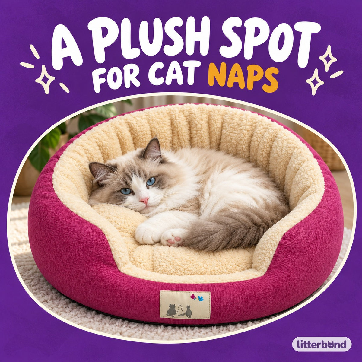 Jewel Plush Nest Bed for Naps with a cat