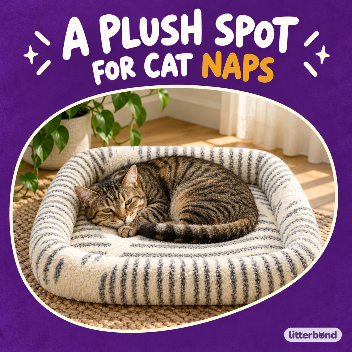 Patterned Bolster Bed for Naps with a cat