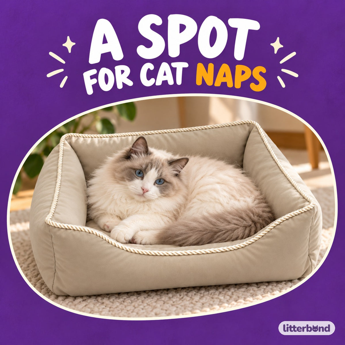 Rope Trim Sofa Bed for Naps with a cat