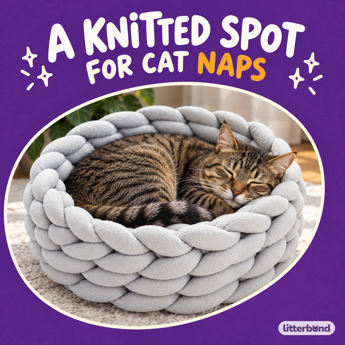 Chunky Knit Basket Bed for Naps with a cat