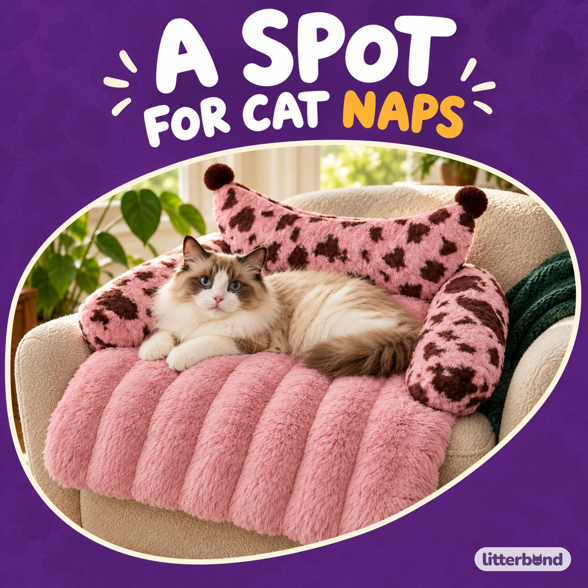 Bolster Sofa Mat for Naps with a cat
