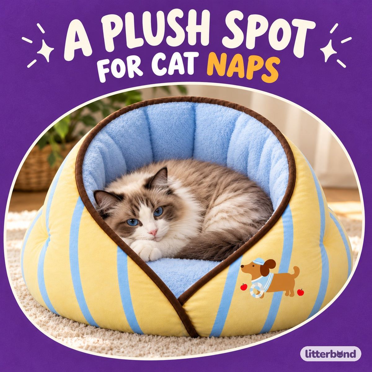 Wraparound Nest Bed for Cat Naps with a cat