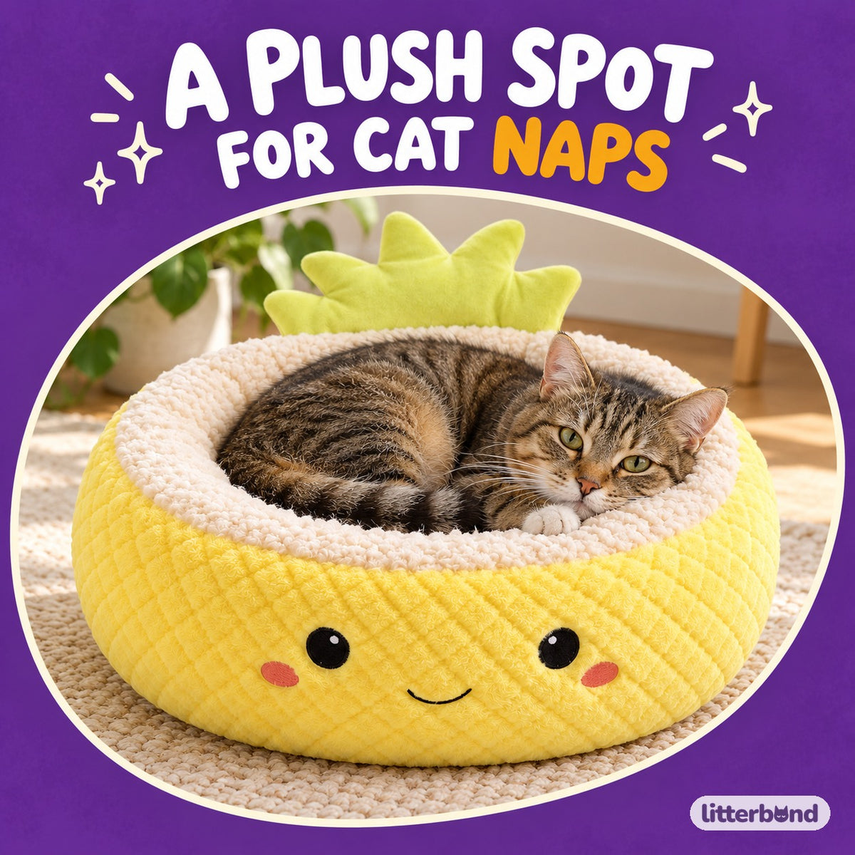 Playful Nest Bed for Naps with a cat