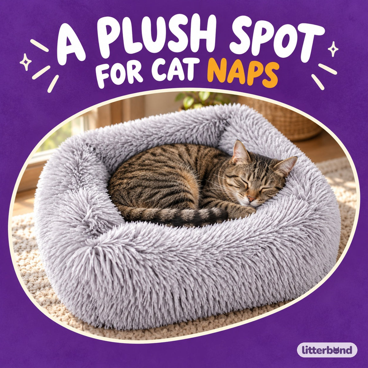 Shaggy Square Bed for Cat Naps with a cat
