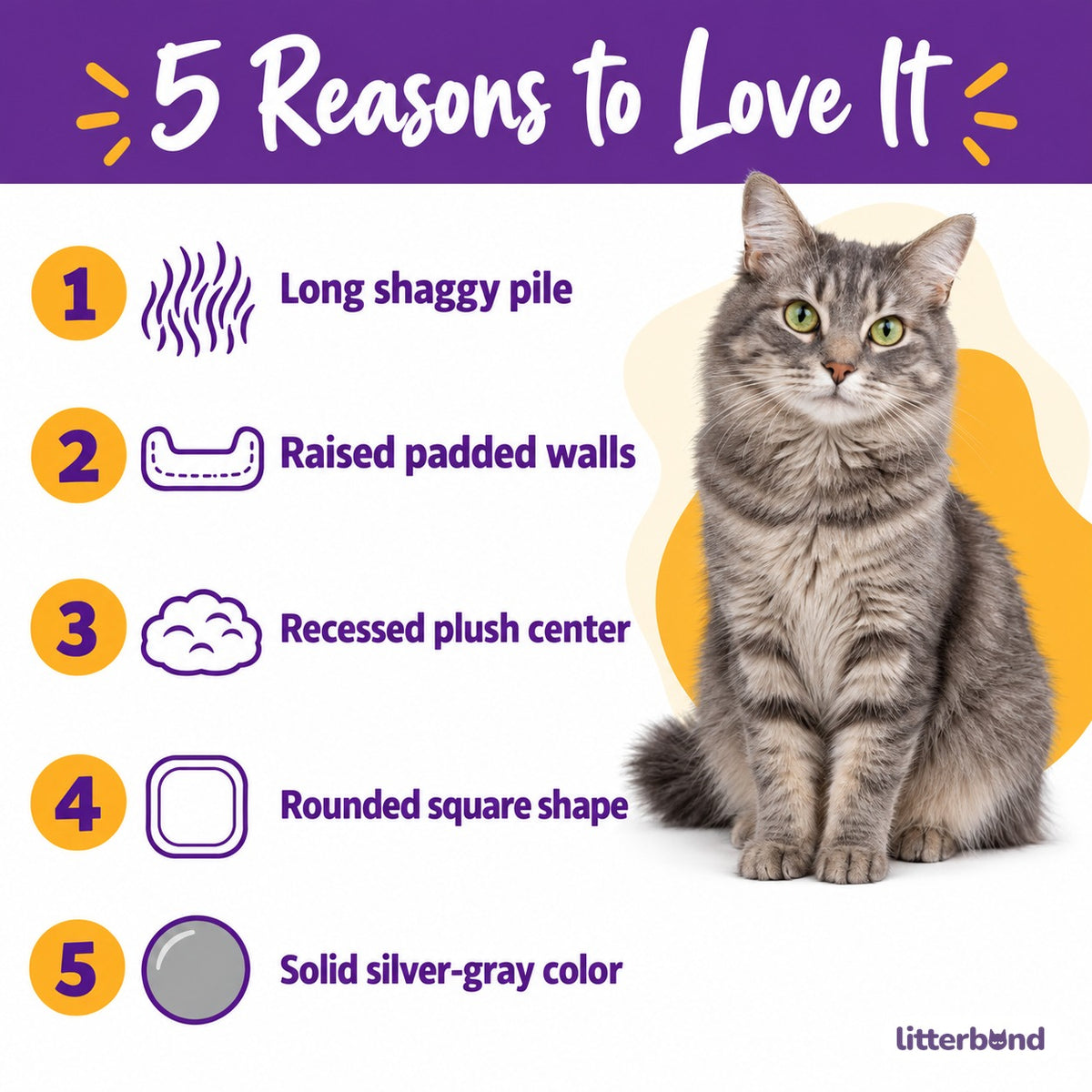 Shaggy Square Bed for Cat Naps - 5 reasons to love it
