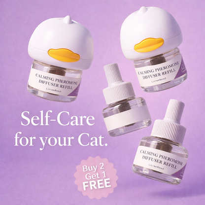 Calming Kit Complete (1 diffuser + 3 refill)