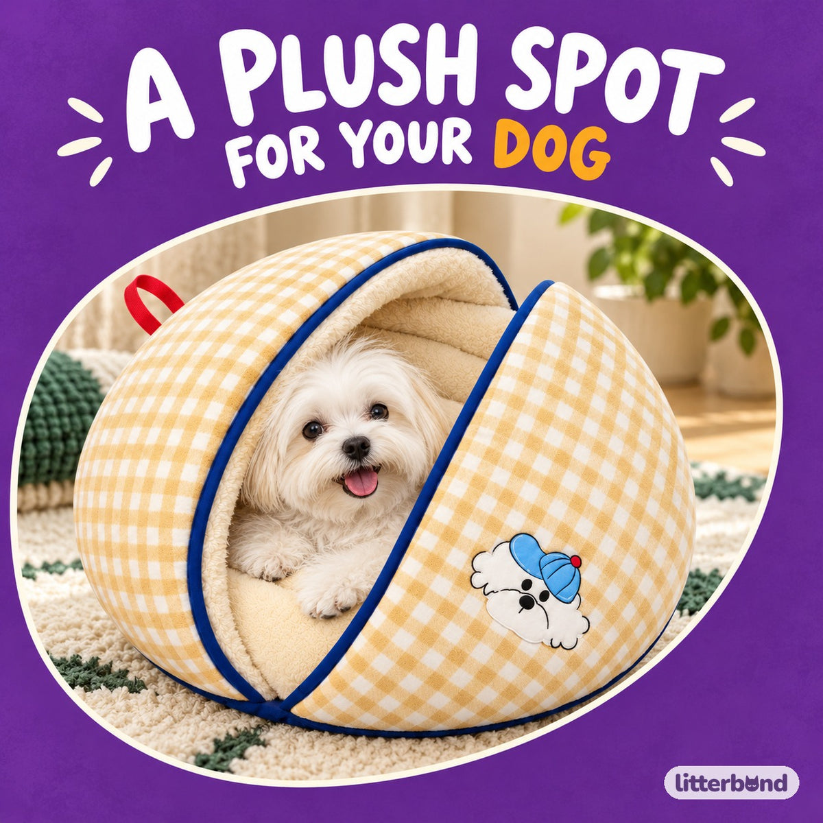 Clamshell Dog Bed for Naps with a dog