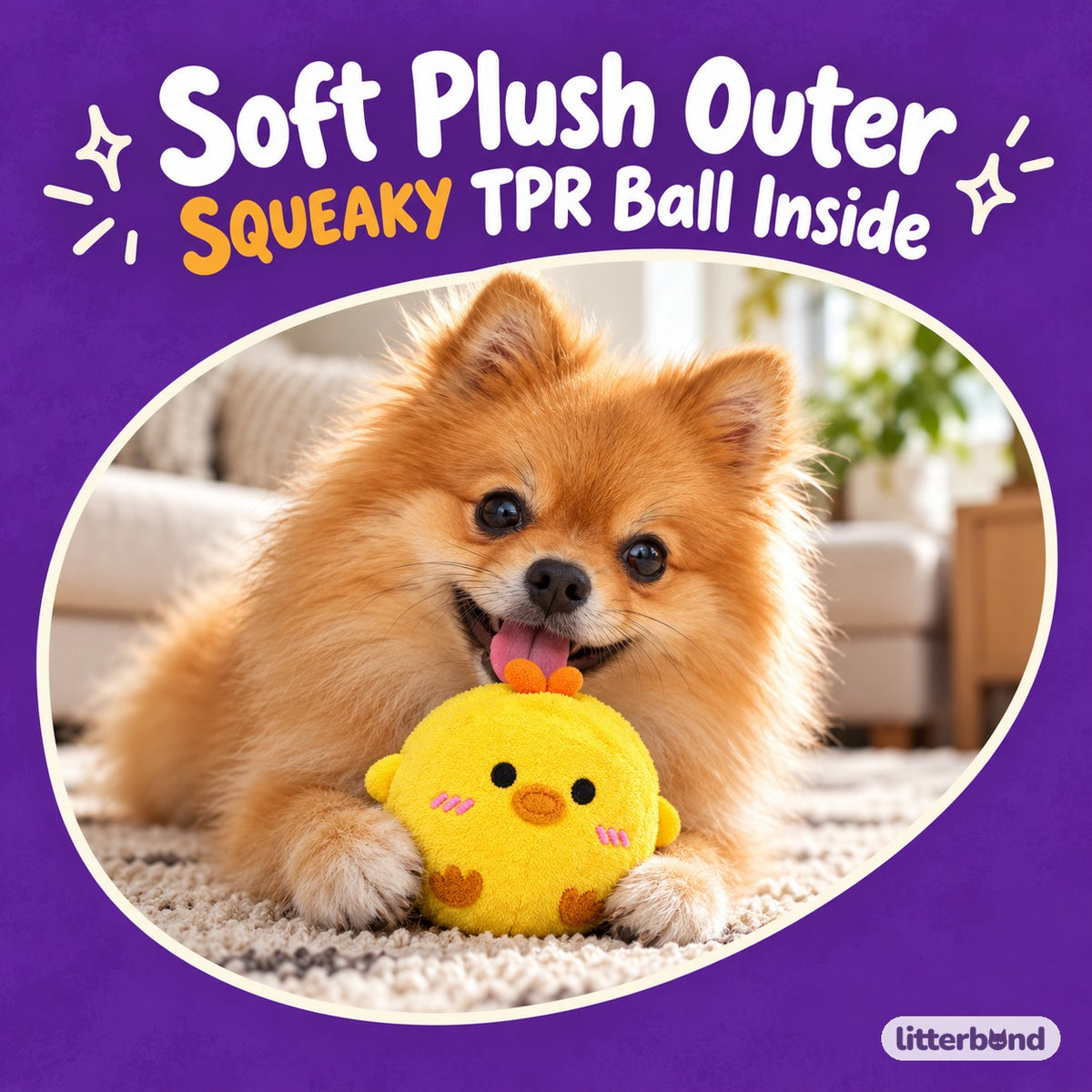 Animal Squeaky Ball for Tossing with a dog