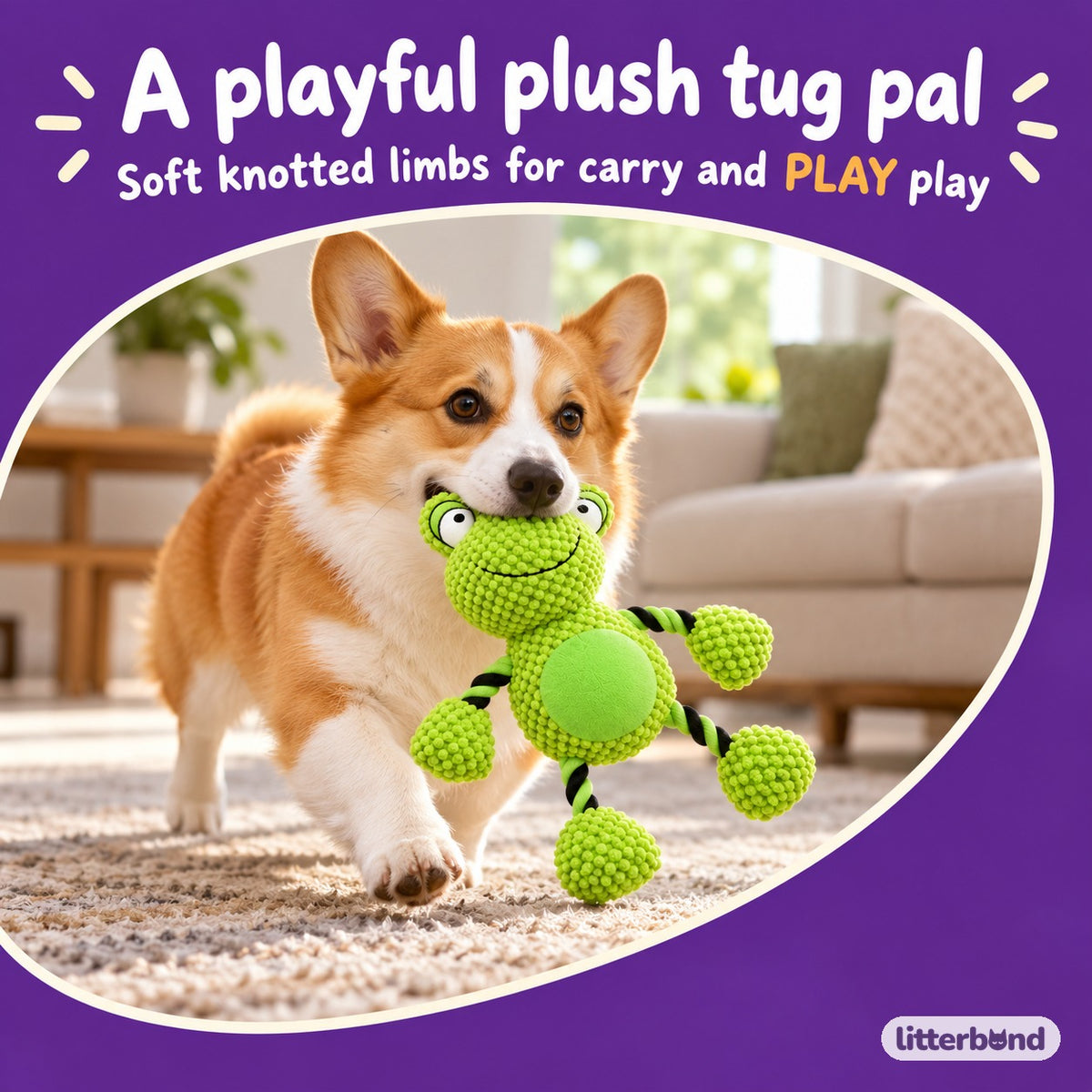 Knotted Frog & Duck Tug Plush with a dog