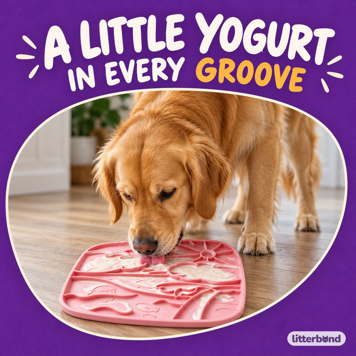 Beach Lick Mat for Treats with a dog