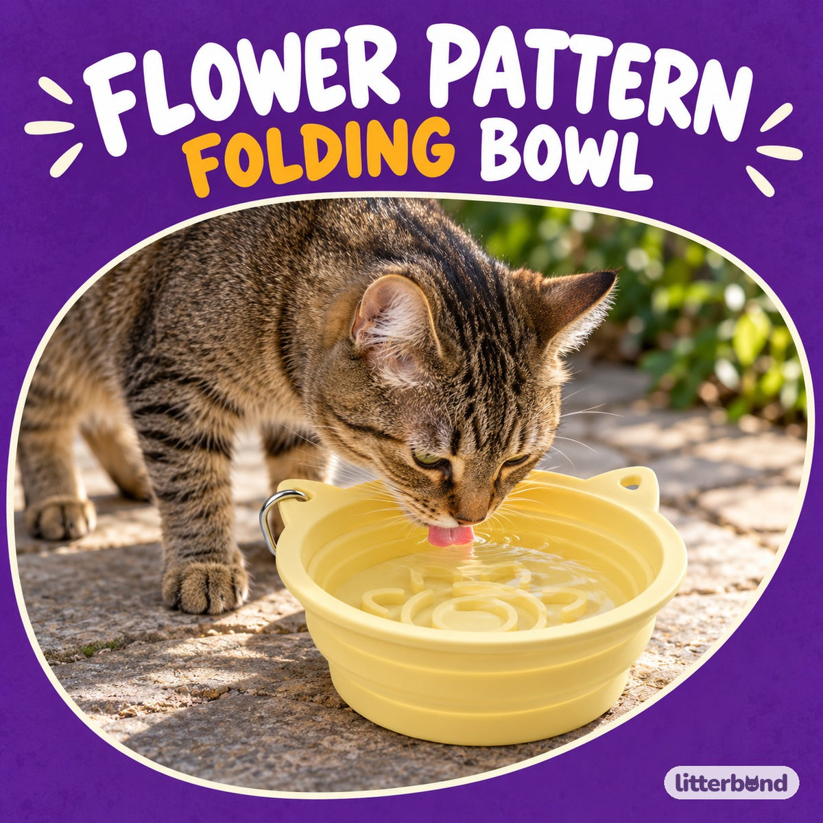 Folding Flower Bowl for Meals with a cat