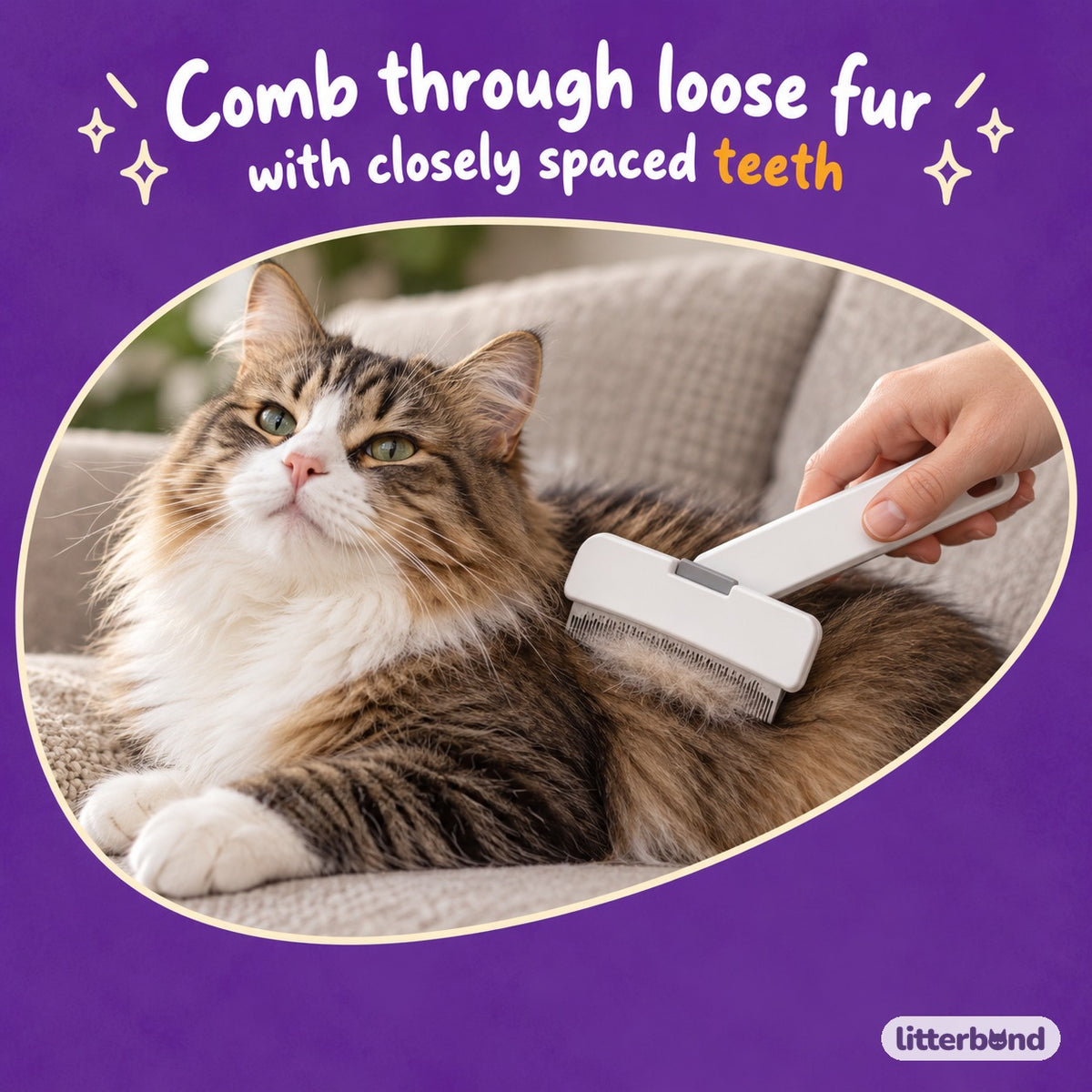 Rounded Tooth Comb for Brushing with a cat