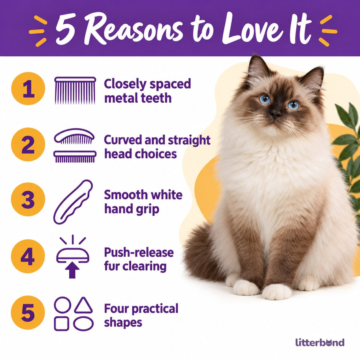 Rounded Tooth Comb for Brushing - 5 reasons to love it