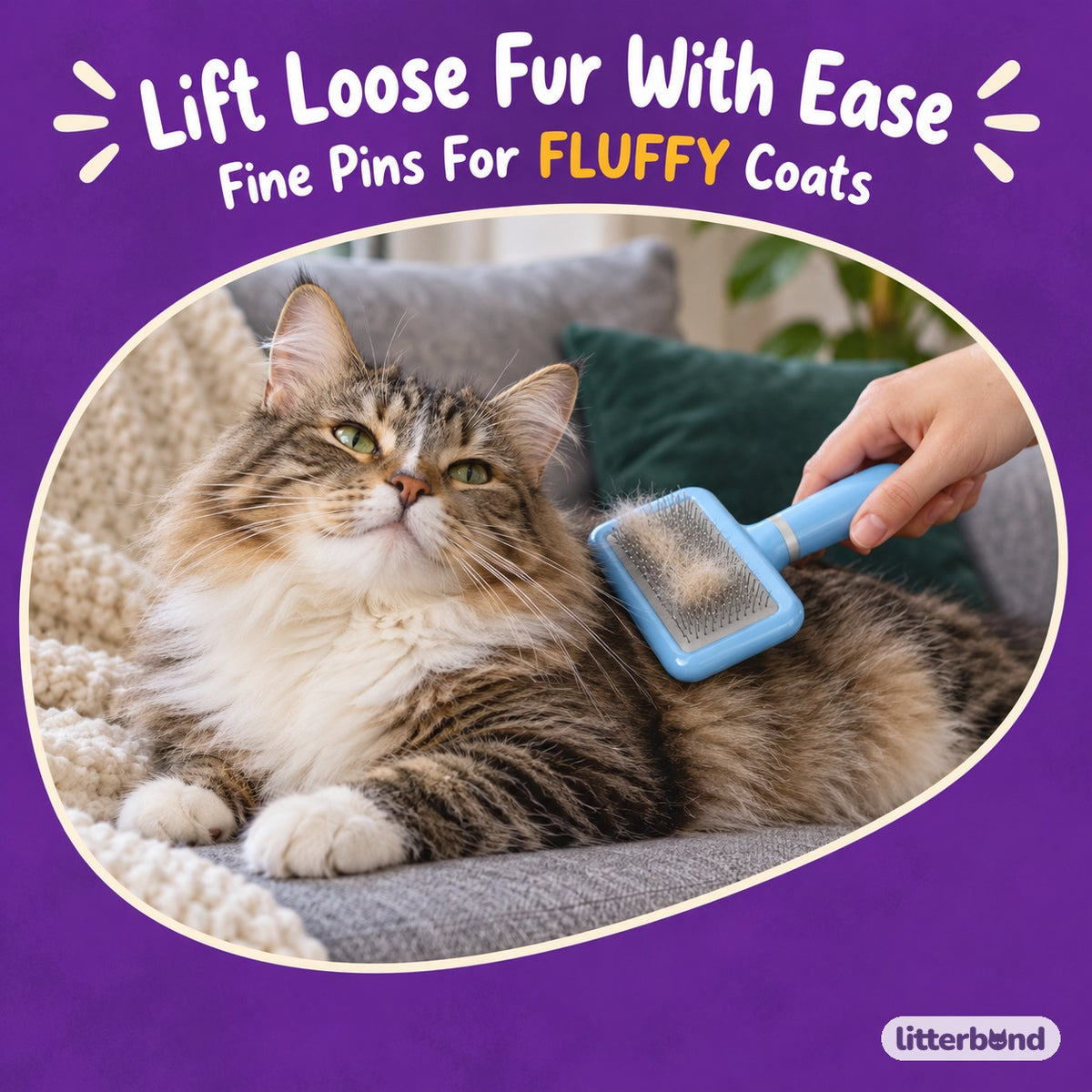 Square Head Slicker Brush for Brushing with a cat