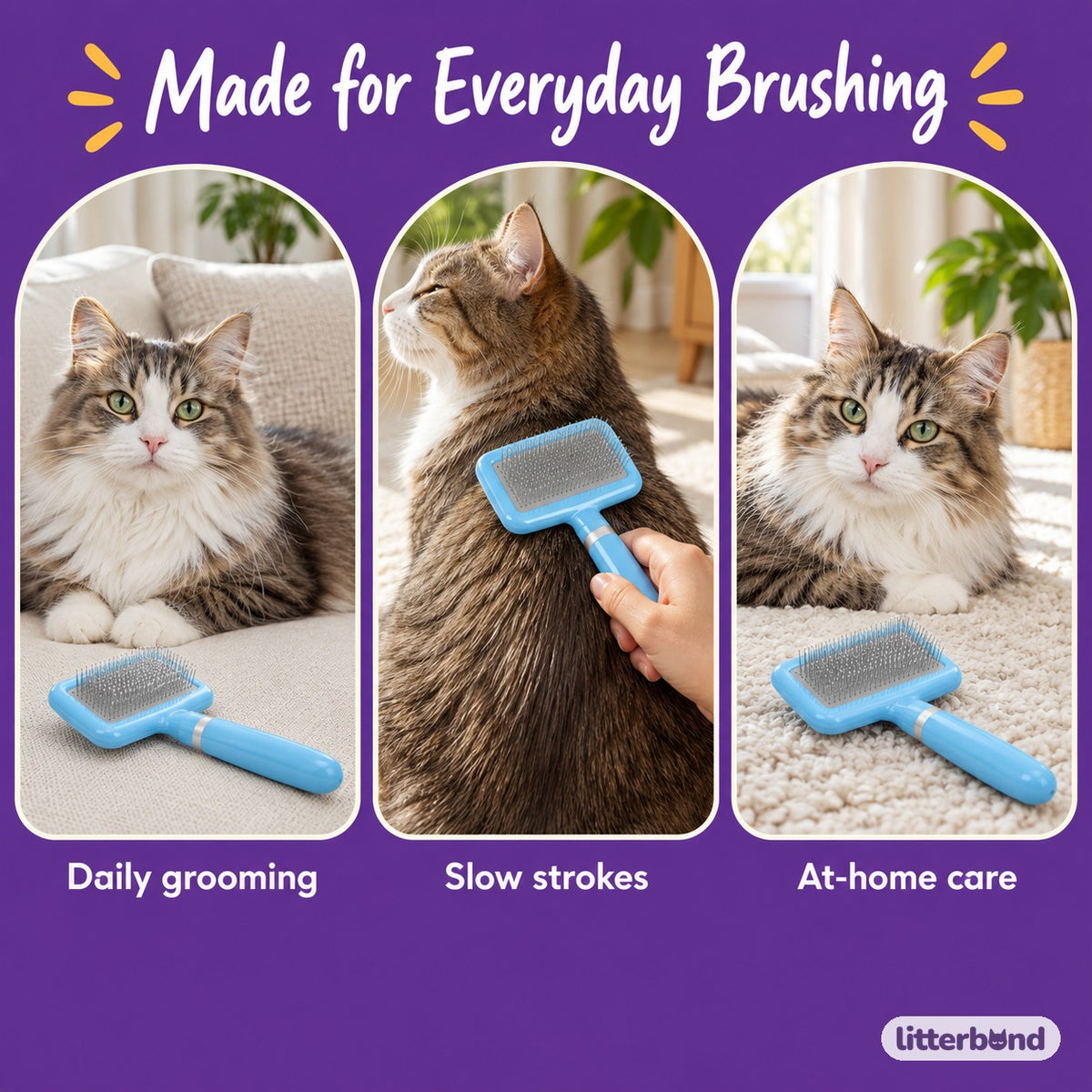 Square Head Slicker Brush for Brushing - grooming at home
