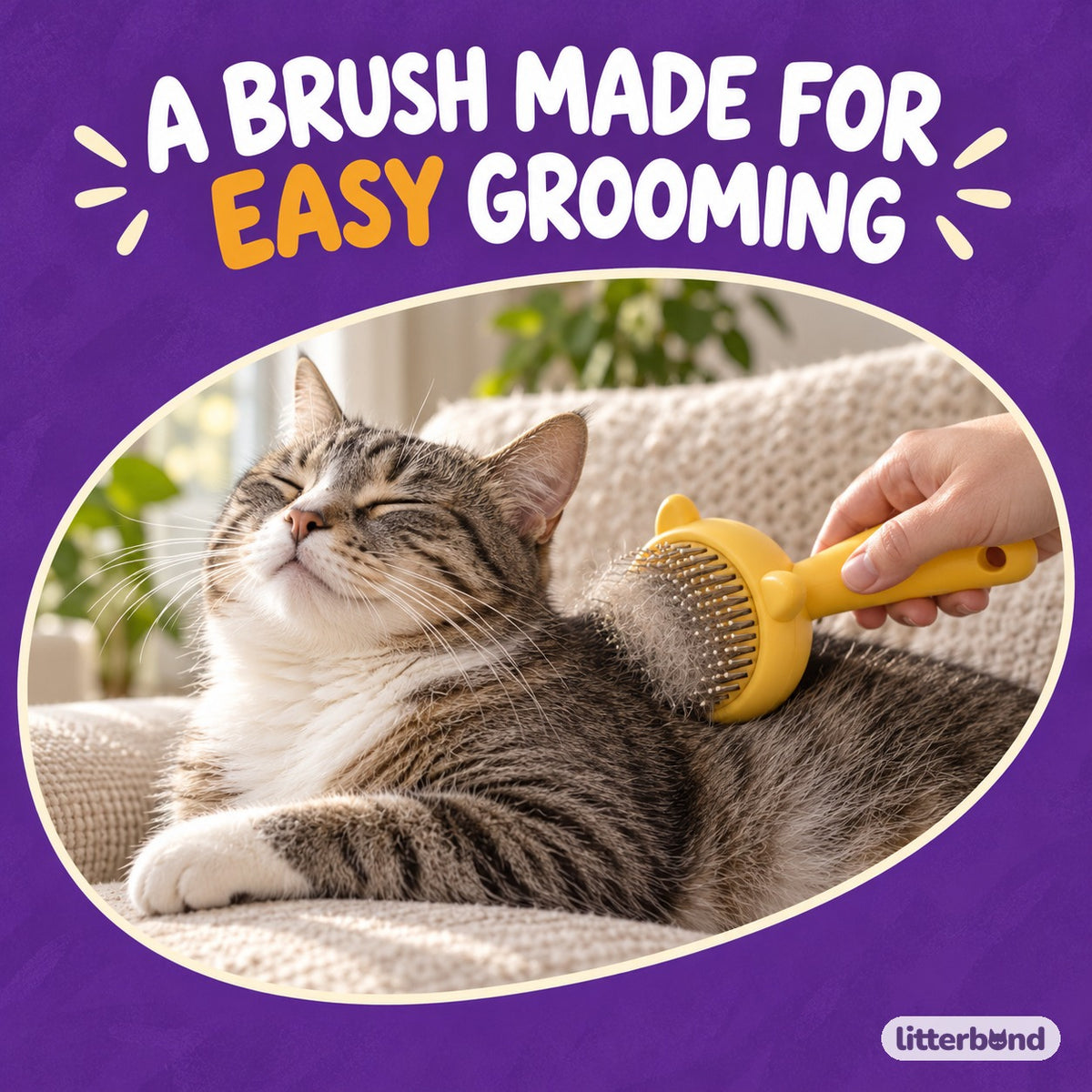 Rabbit Ear Pin Brush with a cat