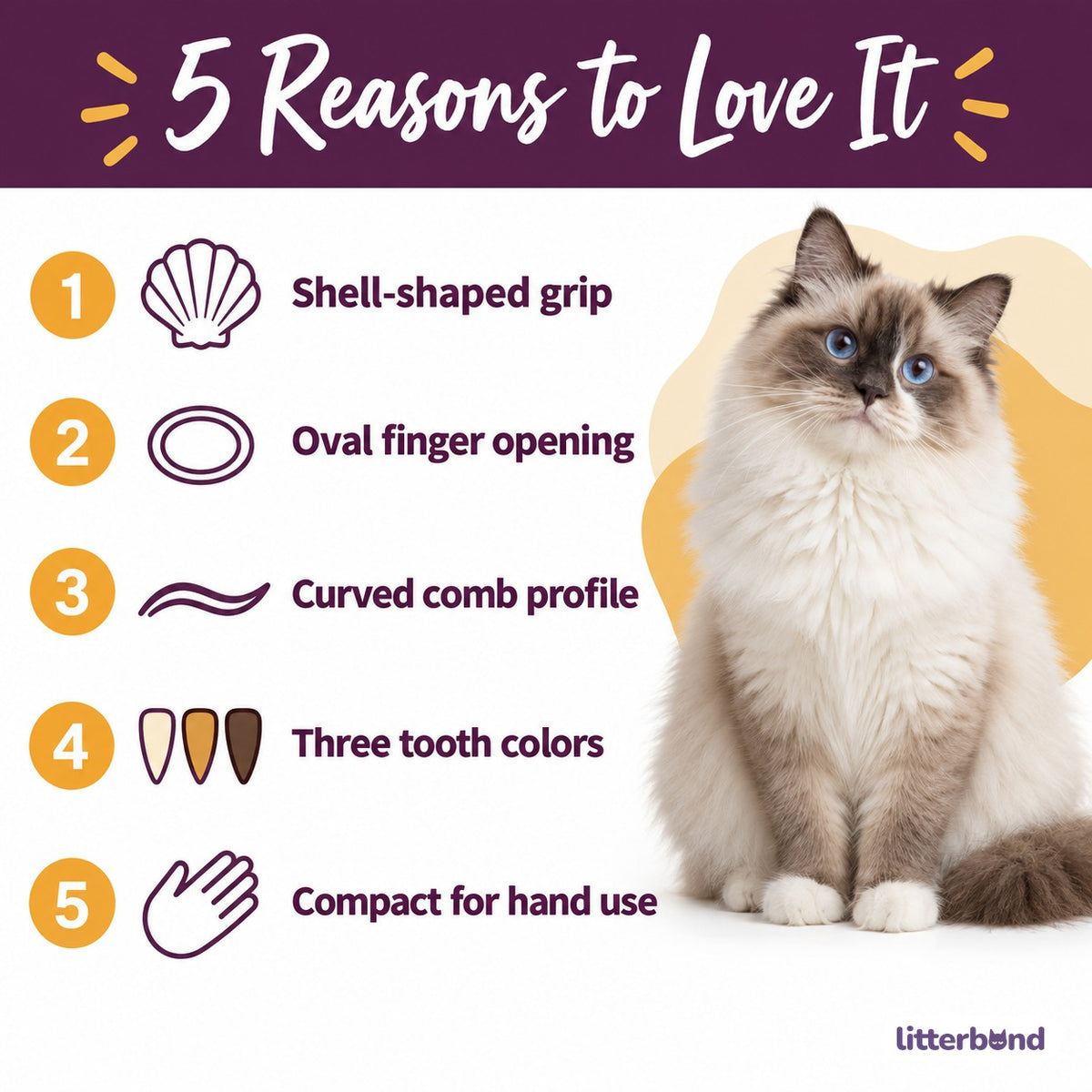 Shell Massage Comb - 5 reasons to love it